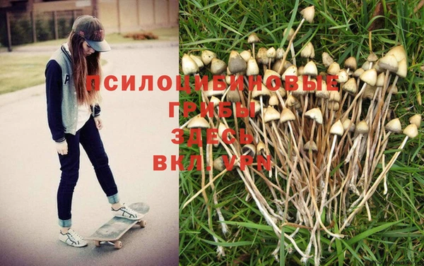 бутик Аркадак