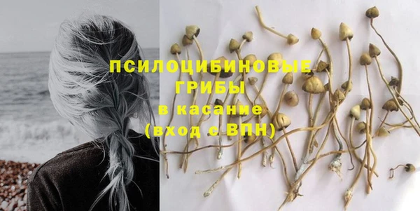 эйфоретик Армянск