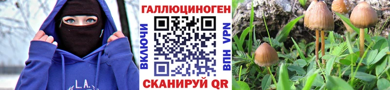 как найти закладки  Мантурово  гидра   Псилоцибиновые грибы Psilocybe 